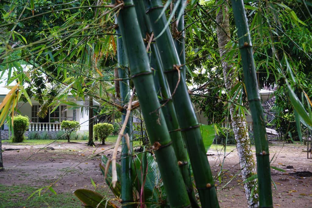 Chalet Bamboo Vert La Digue Kültér fotó
